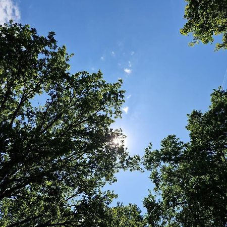 Stacaravan Verhuur Drenthe Hotel Eext Luaran gambar